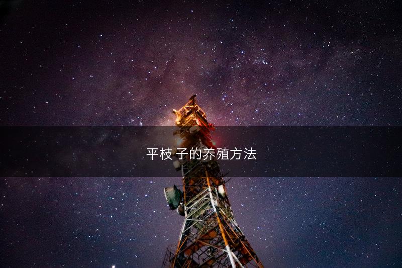 平枝栒子的养殖方法(图1)