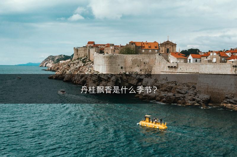 丹桂飘香是什么季节？(图1)