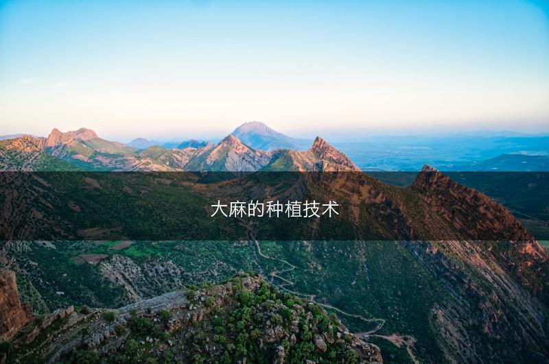 大麻的种植技术(图1)