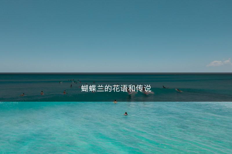 蝴蝶兰的花语和传说(图1)