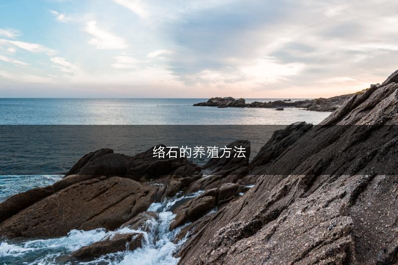 络石的养殖方法(图1)