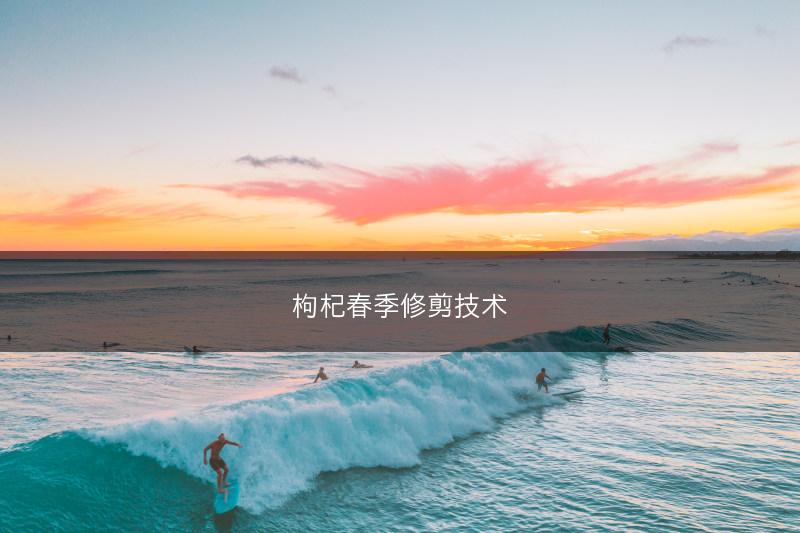 枸杞春季修剪技术(图1)