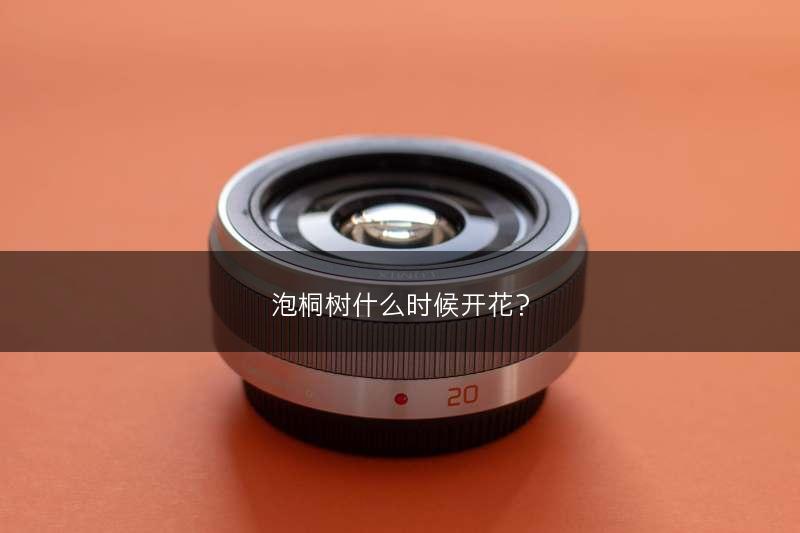 泡桐树什么时候开花？(图1)
