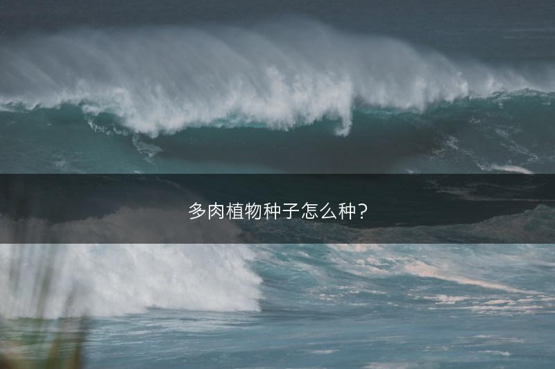多肉植物种子怎么种？(图1)