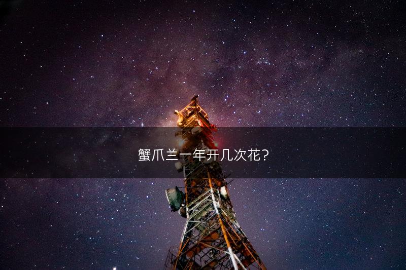 蟹爪兰一年开几次花？(图1)
