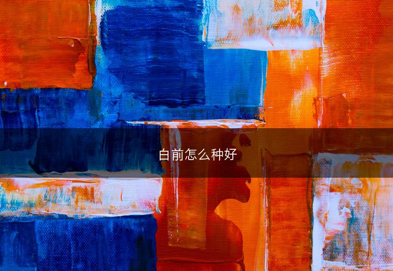 白前怎么种好(图1)