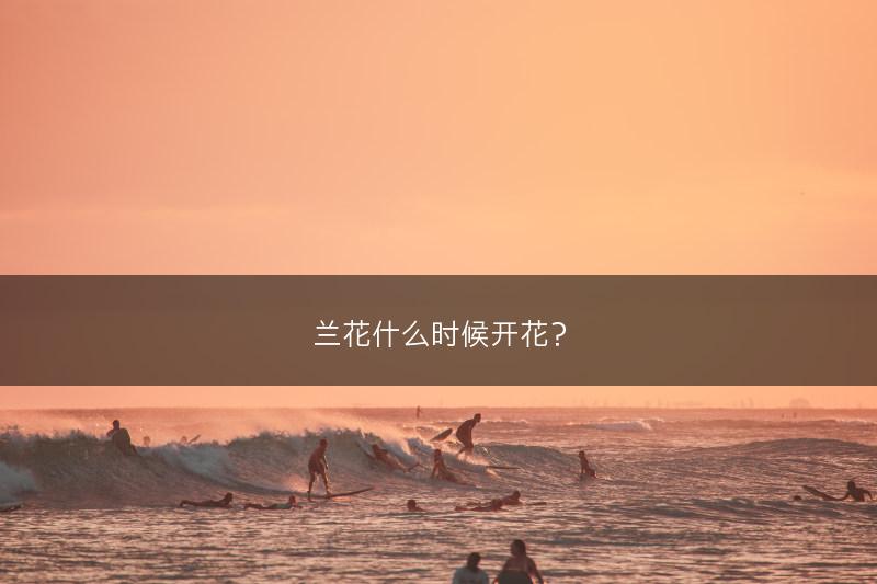 兰花什么时候开花？(图1)