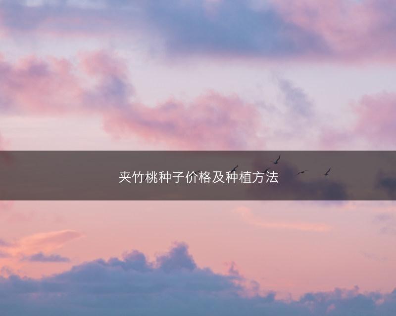 夹竹桃种子价格及种植方法(图1)