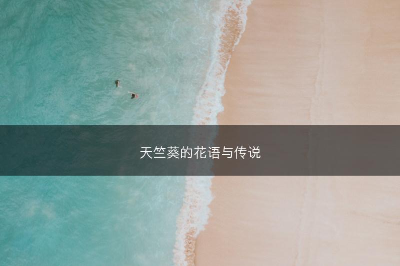 天竺葵的花语与传说(图1)