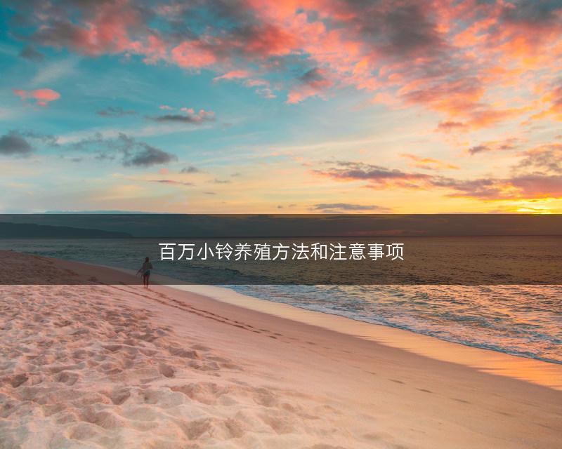 百万小铃养殖方法和注意事项(图1)