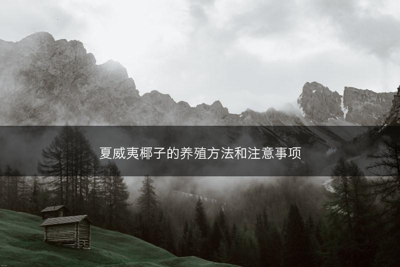 夏威夷椰子的养殖方法和注意事项(图1)