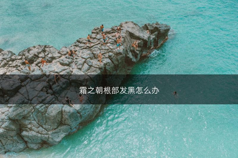 霜之朝根部发黑怎么办(图1)
