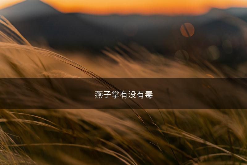 燕子掌有没有毒(图1)
