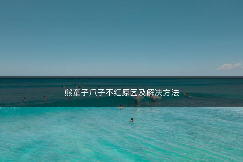 熊童子爪子不红原因及解决方法(图1)