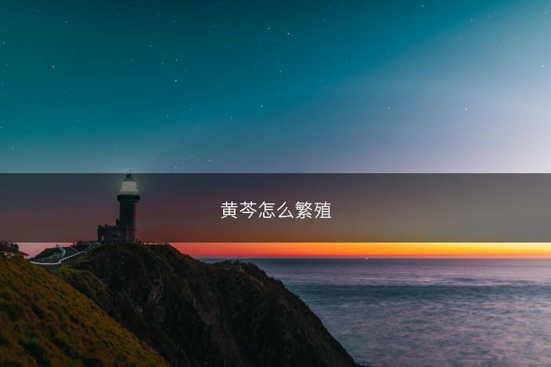 黄芩怎么繁殖(图1)