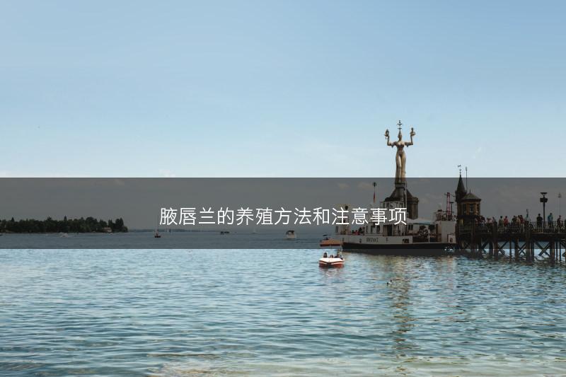 腋唇兰的养殖方法和注意事项(图1)