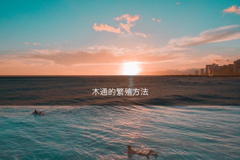 木通的繁殖方法(图1)