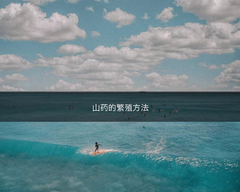山药的繁殖方法(图1)