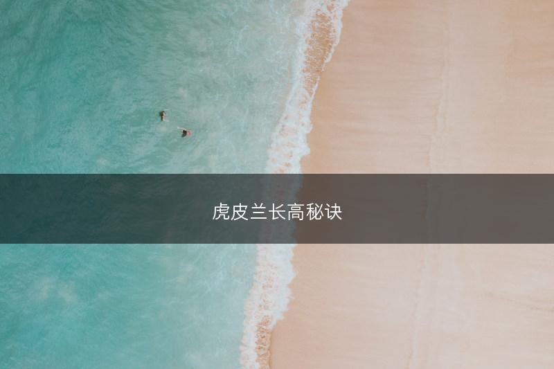 虎皮兰长高秘诀(图1)