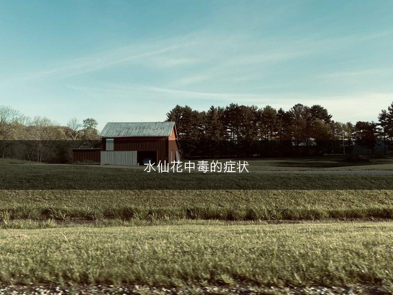 水仙花中毒的症状(图1)