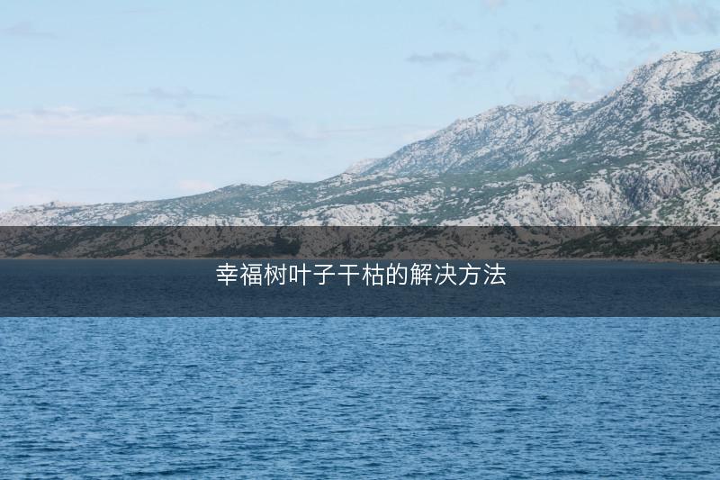 幸福树叶子干枯的解决方法(图1)