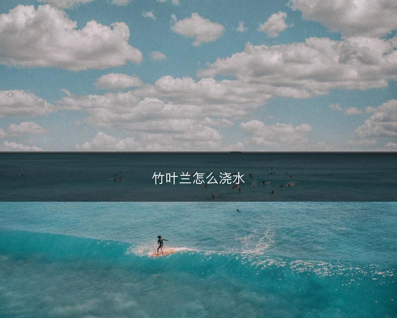 竹叶兰怎么浇水(图1)