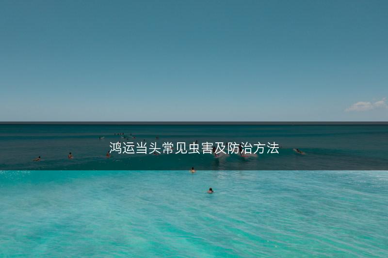 鸿运当头常见虫害及防治方法(图1)