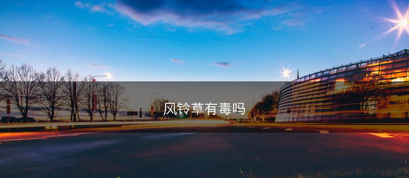 风铃草有毒吗(图1)