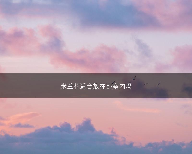 米兰花适合放在卧室内吗(图1)