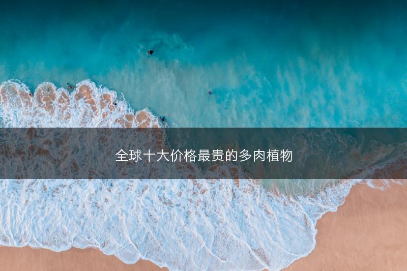 全球十大价格最贵的多肉植物(图1)