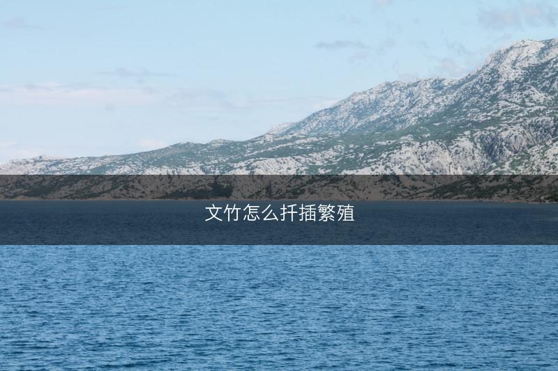 文竹怎么扦插繁殖(图1)