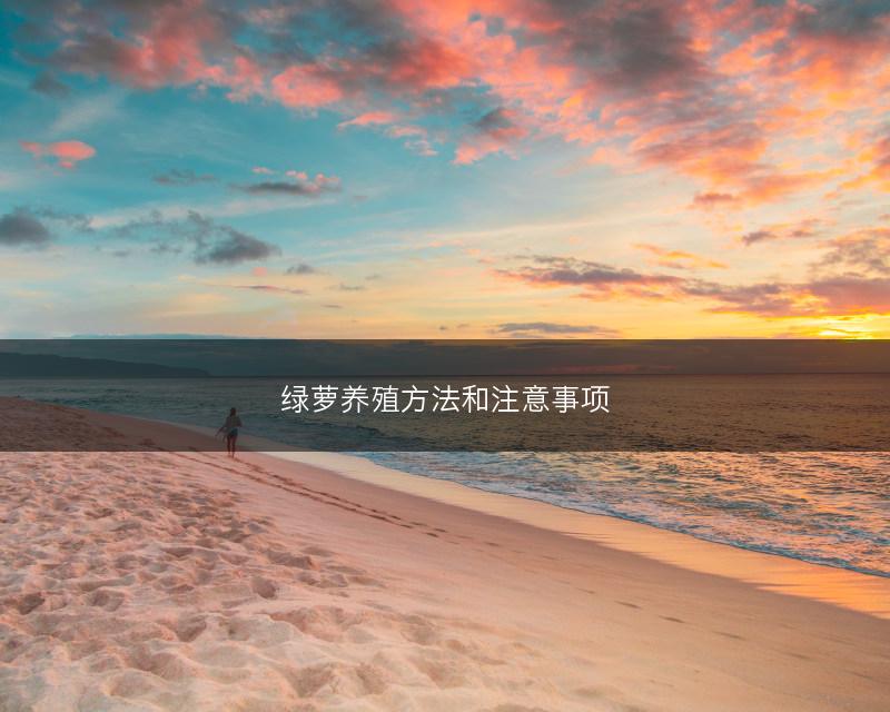 绿萝养殖方法和注意事项(图1)