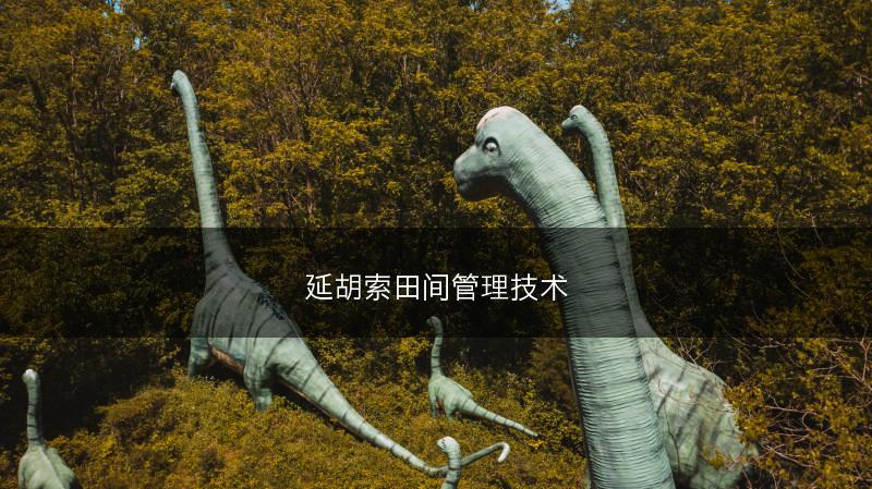 延胡索田间管理技术(图1)