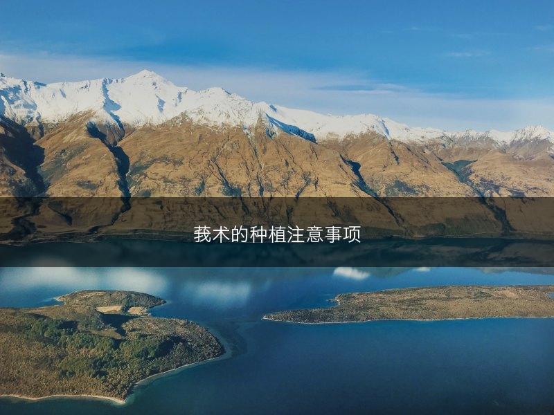 莪术的种植注意事项(图1)