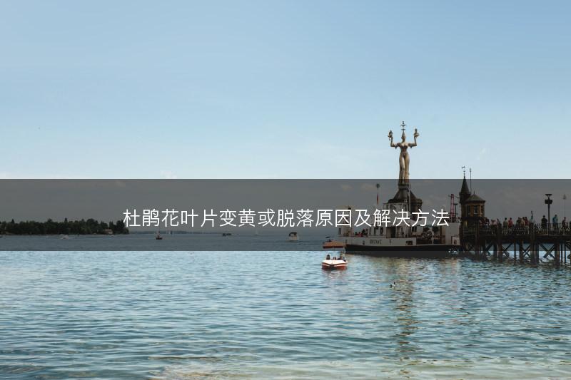 杜鹃花叶片变黄或脱落原因及解决方法(图1)