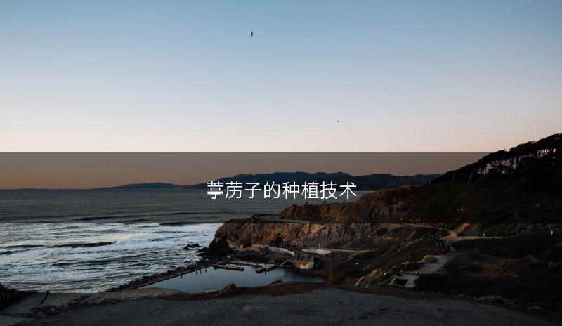 葶苈子的种植技术(图1)