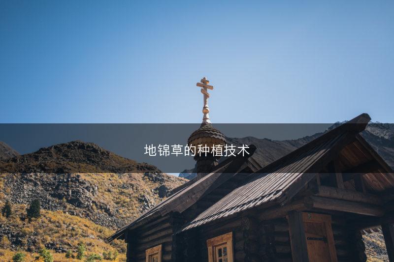 地锦草的种植技术(图1)