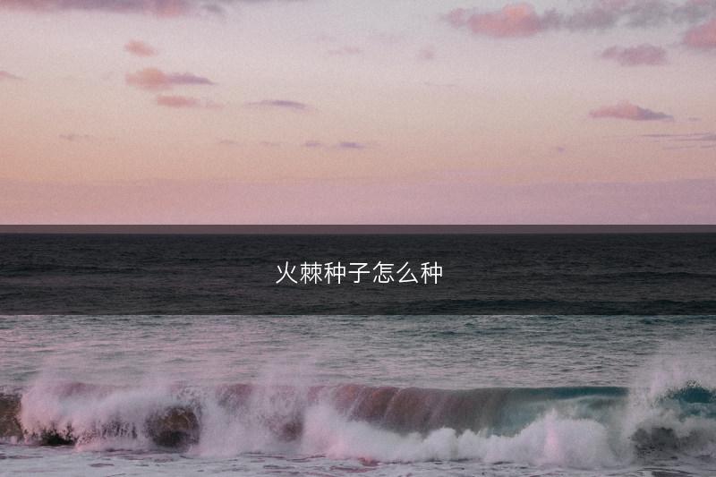 火棘种子怎么种(图1)