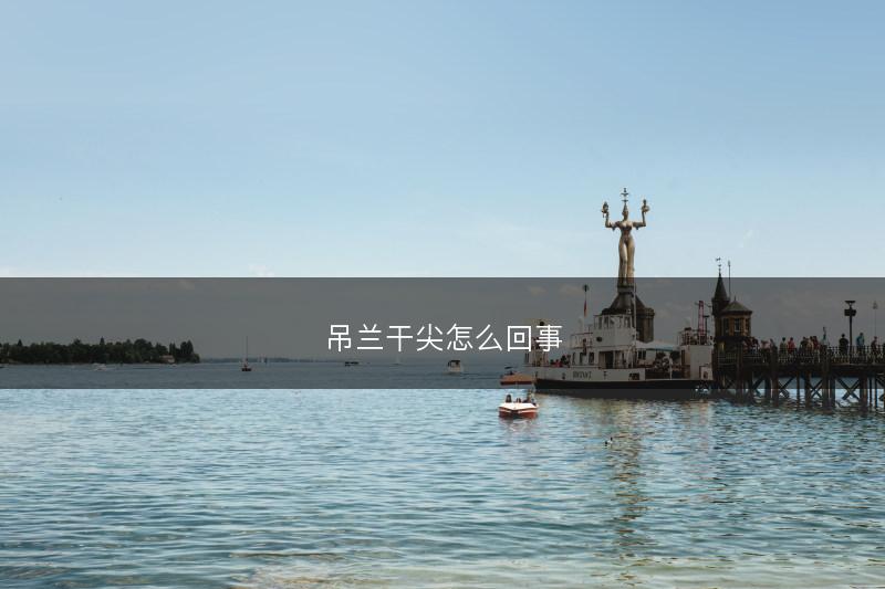 吊兰干尖怎么回事(图1)