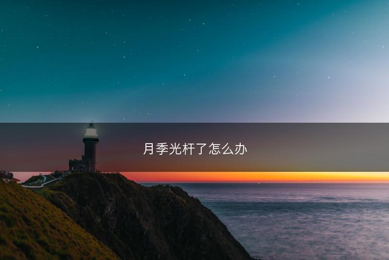 月季光杆了怎么办(图1)