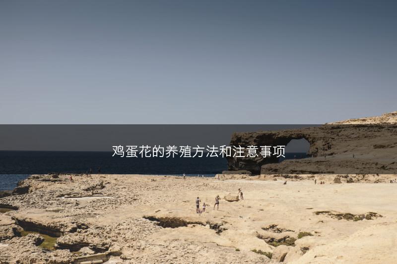 鸡蛋花的养殖方法和注意事项(图1)