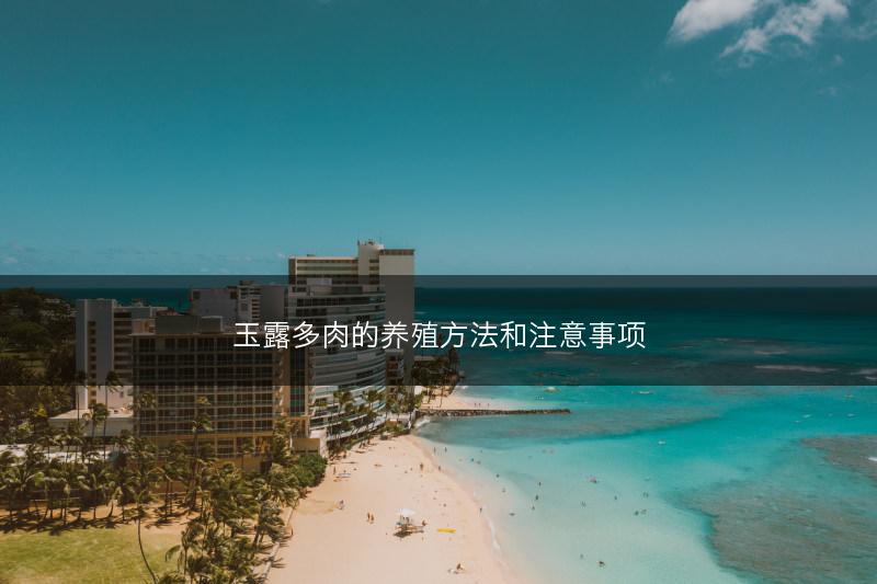 玉露多肉的养殖方法和注意事项(图1)