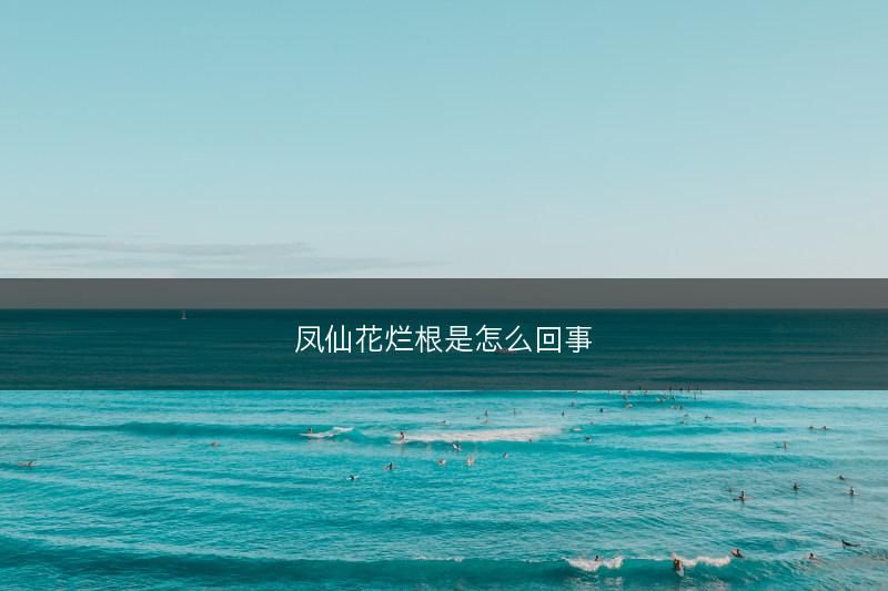 凤仙花烂根是怎么回事(图1)