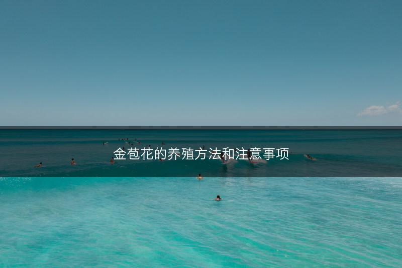 金苞花的养殖方法和注意事项(图1)