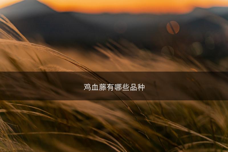 鸡血藤有哪些品种(图1)