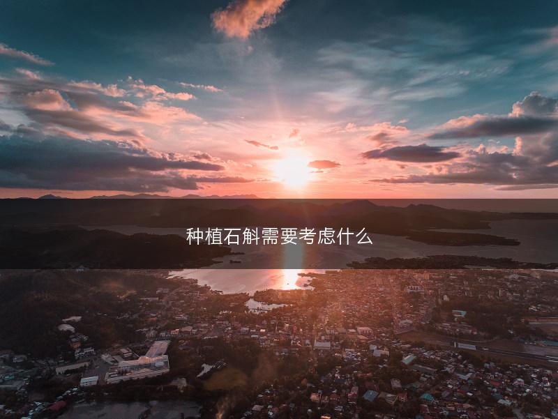 种植石斛需要考虑什么(图1)