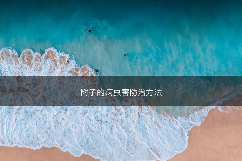 附子的病虫害防治方法(图1)