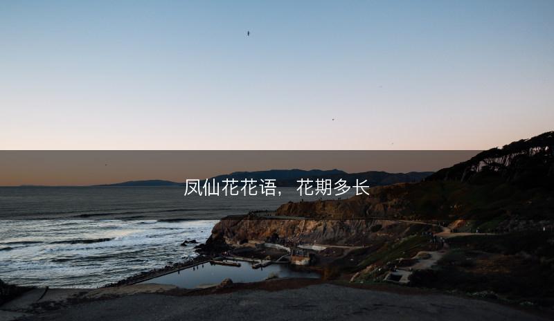 凤仙花花语，花期多长(图1)