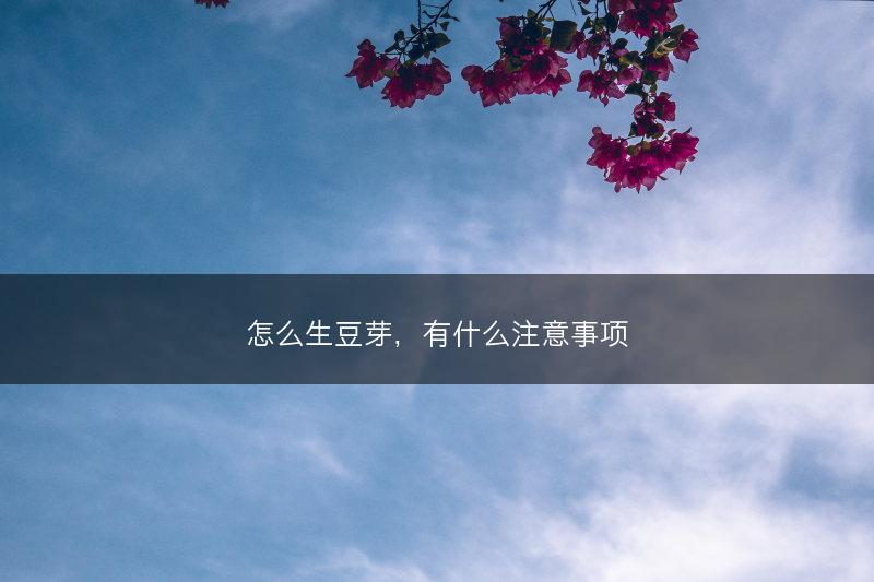 怎么生豆芽，有什么注意事项(图1)