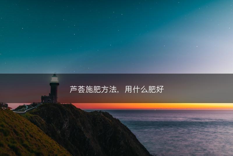 芦荟施肥方法，用什么肥好(图1)